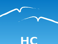 姜其超 - HC Consulting LLC