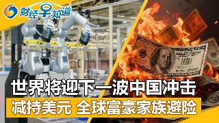 世界将迎下一波中国冲击；全球富豪家族避险，减持美元；打破对华依赖，欧盟欲建稀土定价系统，...